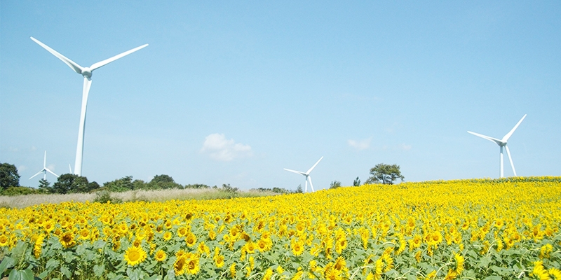 福島県再エネスタディツアー