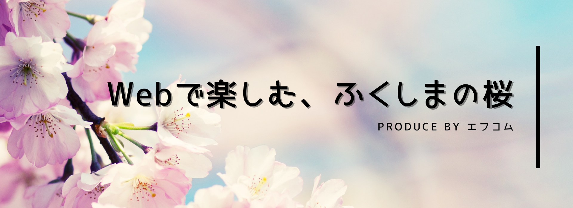 Webで楽しむふくしまの桜_KV