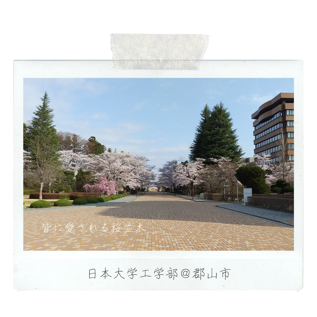 010_001_日本大学工学部