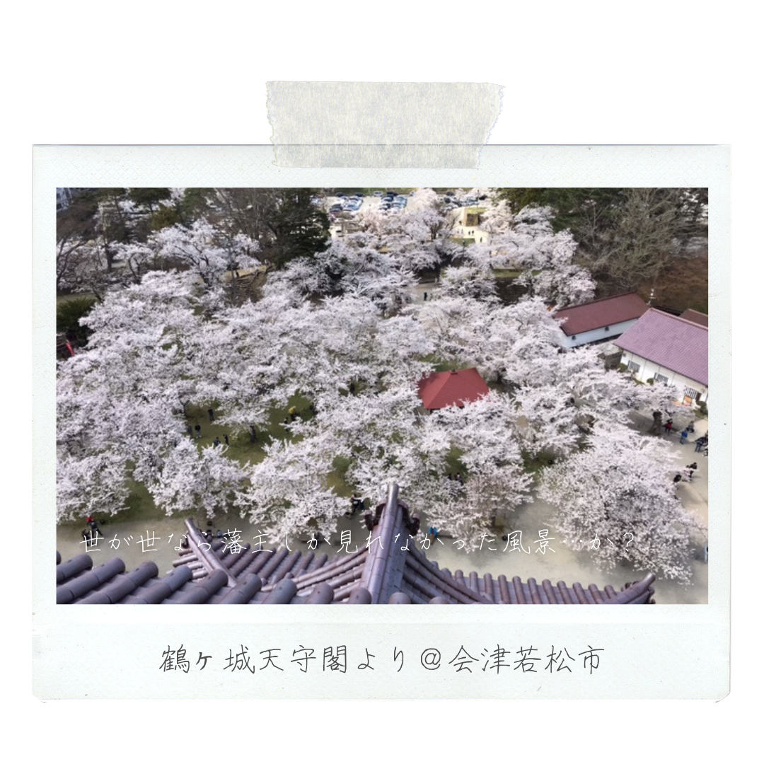 025_鶴ヶ城公園